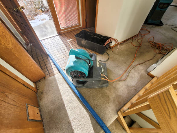 Reliable MN Water damage restoration Solutions