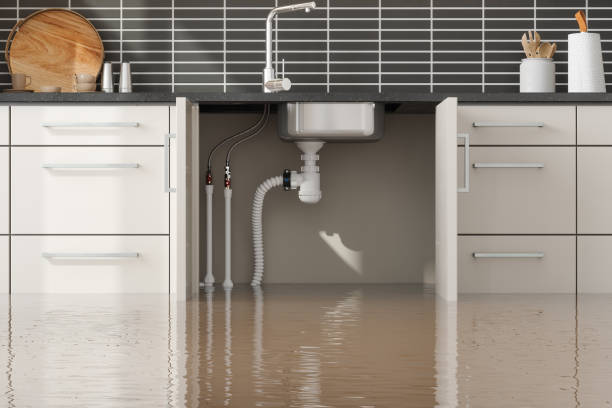 Best Basement water damage restoration  in Watertown, MN